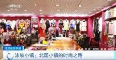 观察辽宁兴城泳装游向深蓝